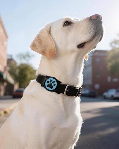 IP68 Waterproof Dog AirTag Holder for Dog Collar, Soft, Stretchy Silicone