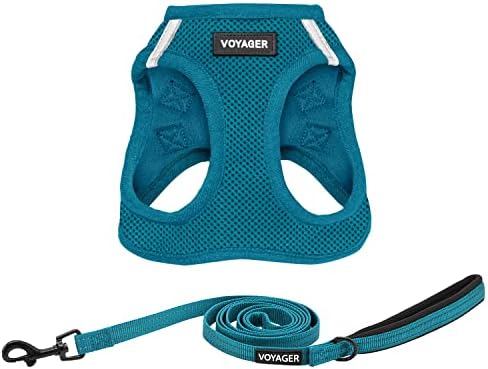 Best Pet Supplies Voyager Step-in Air All Weather Mesh Harness and Reflective Dog 5ft Leash Combo with Neoprene Handle, for Small, Medium and Large Breed Puppies - Turquoise, Large