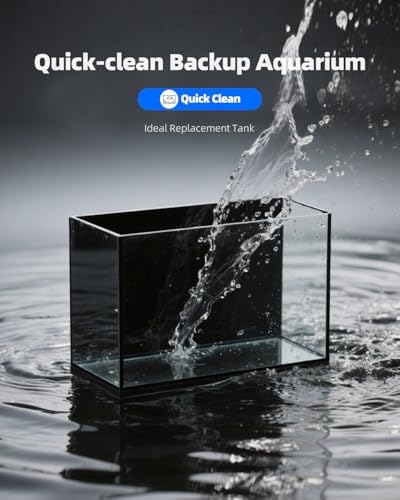 5 Gallon Glass Fish Tank, Ultra-Clear Small Aquarium