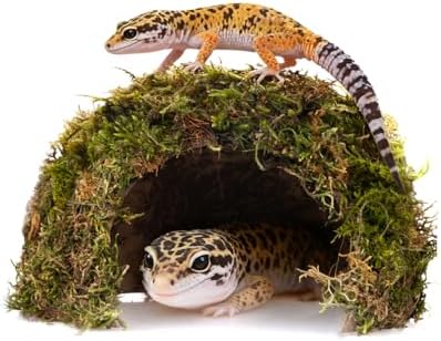 Reptile Hides and Caves – Leopard Gecko Tank Accessories, Natural Dome Reptile Cave & Shelter, Gecko Tank Accessories & Hermit Crab Shelter, Hamster Cage Accessories