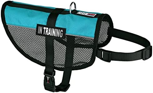 Dogline 17"-21" MaxAire Mesh Vest for Dogs and 2 Removable in Training Patches, Medium, Turquoise