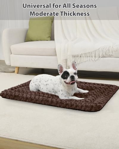 Exsnugy Washable Dog Bed Mat Large Size Fluffy Pet Crate Pad 42x28 XL