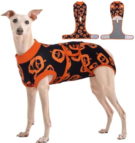 Kuoser Recovery Suit for Dogs After Surgery, Female Dog Onesie for Surgery