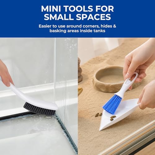 Bearded Dragon Tank Cleaning Kit, Reptile Mini Dustpan and Brush