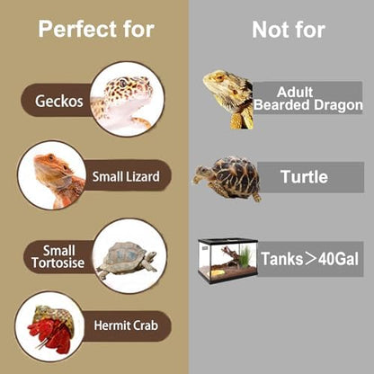 5-in-1 Leopard Gecko Tank Starter Kit, Hide Cave, Seagrass Hammock, Climbing Vine, Tweezers & Dish - 10-20 Gal | Fits Leopard/Crested Geckos, Harmit Crabs, Juvenile Tortoises (Tank Not Included)