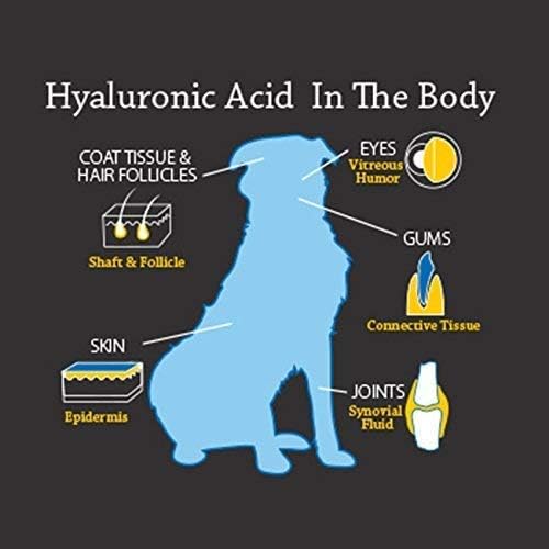 Hyalogic HyaFlex Hyaluronic Acid for Dogs - Premium Pet Supplies for Joint, Skin, Eye, and Coat Maintenance - Natural Joint Supplement for Dogs to Enhance Mobility (30ml)