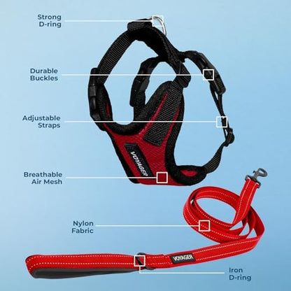 Best Pet Supplies Voyager Step-in Lock Pet Harness w Reflective Pet Leash Combo Set with Neoprene Handle 5ft - Supports Small, Medium and Large Breed Puppies/Cats - Red/Black Trim Set, L