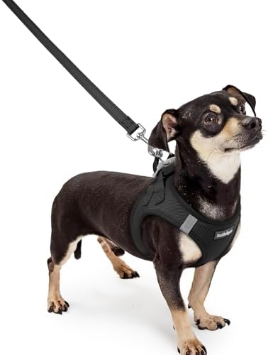 rabbitgoo Dog Harness Small Sized and Leash Set, Step-in Puppy Pet Vest