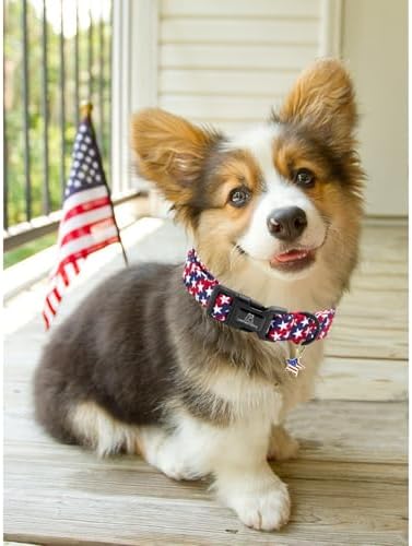 Lionheart glory American Flag Dog Collar, 4 of July Patriotic Independence Dog Collar Heavy Duty Adjustable Collars for Small Dogs Pet Gift Summer Collars