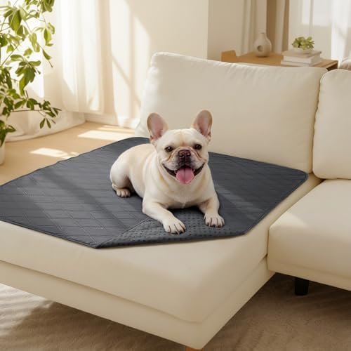 Luciphia Waterproof Couch Cover for Dogs, Non-Slip Pet Sofa Protector