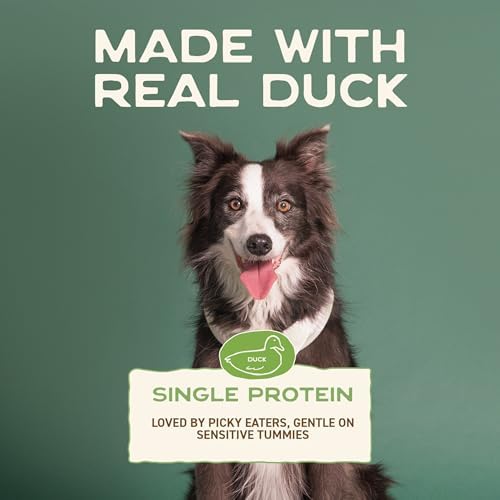 Smart Cookie Duck Jerky Dog Treats with Flax Seed, Omega Oils- Hypoallergenic Strips for Dogs and Puppies with Allergies, Sensitive Stomachs - Dehydrated, Grain Free, Made in USA - 3oz Bag, Pack of 1