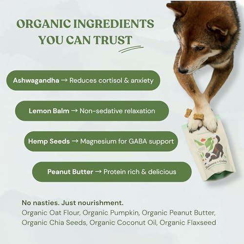 Balance + Calm Calming Dog Treats, Plant-Based with Ashwagandha, Peanut Butter & Pumpkin, Stress & Anxiety Relief, Grain-Free, Organic, 2-Pack Bundle