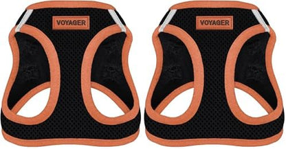 Voyager Step-in Air Dog Harness - All Weather Mesh Step in Vest Harness for Small and Medium Dogs by Best Pet Supplies - Orange Trim, M (Pack of 2)