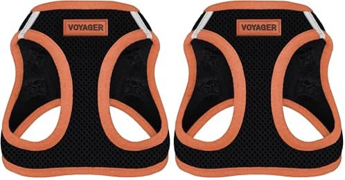 Voyager Step-in Air Dog Harness - All Weather Mesh Step in Vest Harness for Small and Medium Dogs by Best Pet Supplies - Orange Trim, M (Pack of 2)