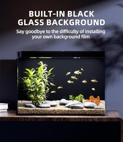 5 Gallon Glass Fish Tank Rimless with Black Background Rectangular Tank