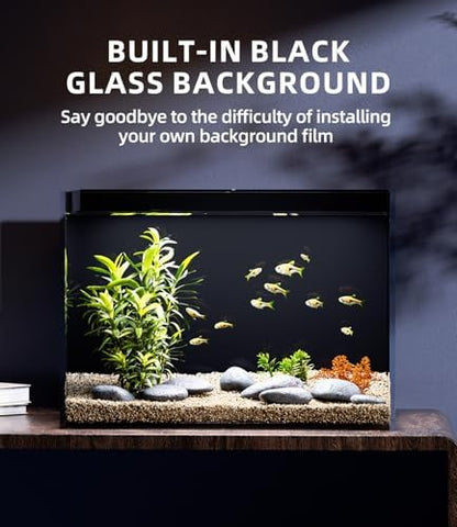 5 Gallon Glass Fish Tank Rimless with Black Background Rectangular Tank
