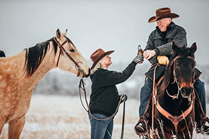 TrailMax Horse Horn Bags for Trail Riding – Medium & Large Western Saddle Horn Bags for Horses & Mules, Insulated Trail Gear with Secure Fit & Grab-and-Go Liners, Large, Black with Blue Piping