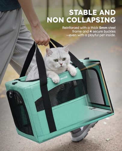 Pecute Cat Carrier Stable, Pet Carrier with Privacy Partition,Light Green