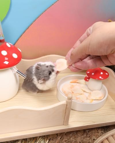 Niteangel Hamster Snack & Treats Toy - Freeze-Dried Carrots No Additive