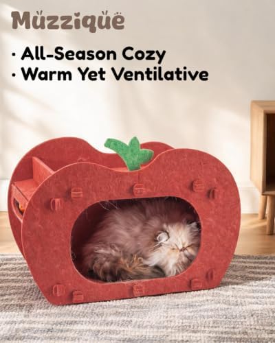 Cat Cave Bed for Indoor Cats, Red Apple Cat Hideaway House, with Perch&Toys