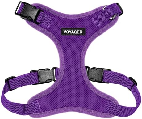 Voyager Step-in Lock Dog Harness - Purple, Large