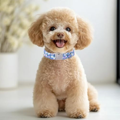 Floral Dog Collar, Cute Blue Wildflowers Dog Collars - Soft Adjustable Spring Summer Everyday Collars for Small Medium Large Dogs, Cottagecore Bloom Dogs Collar S