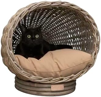 CBD1001A Socket Dome 19.5" x 17" Bohemian Handwoven Rattan Cat Bed with Machine-Washable Cushion, Kubu Gray