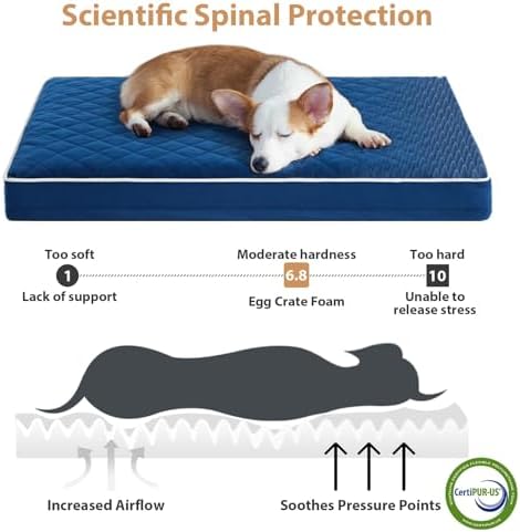 WNPETHOME Orthopedic Waterproof XL Dog Bed for Crate Cozy Sleep