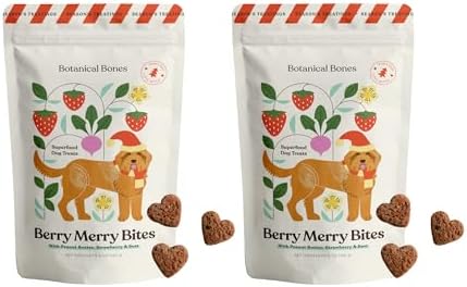 Berry Merry Organic Dog Treats – Vegan, Wheat-Free, Peanut Butter Heart Crunchy Cookies – Holiday Dog Treats, All-Natural & Baked in USA, Pumpkin, Peanut Butter, & Strawberry – 5oz (2-Pack)