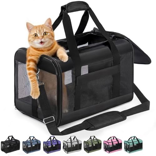 Conlun Cat Carrier Soft-Sided Pets Travel Carriers up to 15 Lbs,Black M
