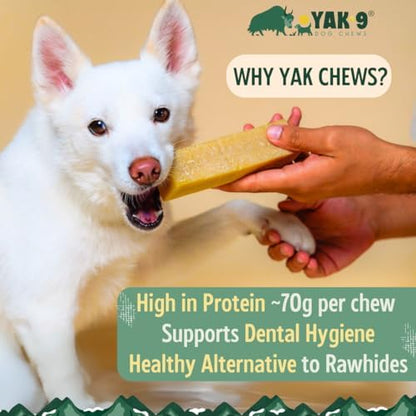 Yak9 Himalayan Yak Chews for Medium Dogs - High Protein, Rawhide Free, Long Lasting Treats - Non GMO, Gluten Free, Grain Free Yak Milk Dog Chew, Extra Large 6oz, Yak & Cow, 3 PC