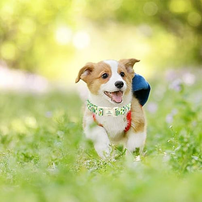 Lionheart glory Dog Collar Green Cactus Print Collar for Large Dogs Spring Summer Female or Male Collars Pets Gift Adjustable Heavy-Duty Cute Pet Collars