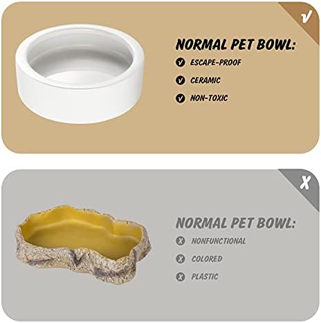 Reptile Food Dish Bowl 2Pcs Lizard Gecko Worm Water Bowls Small (2.75in)