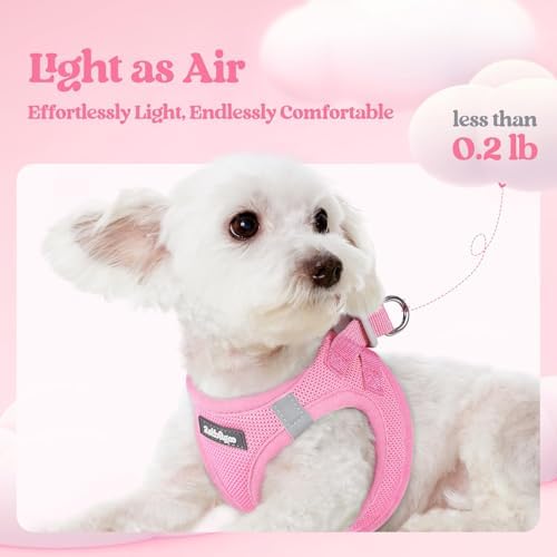 rabbitgoo Dog Harness Medium Sized and Leash Set, Step-in Puppy Pet Vest