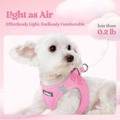 rabbitgoo Dog Harness Medium Sized and Leash Set, Step-in Puppy Pet Vest