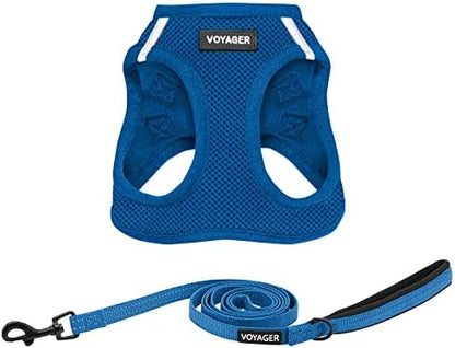 Best Pet Supplies Voyager Step-in Air All Weather Mesh Harness and Reflective Dog 5ft Leash Combo with Neoprene Handle, for Small, Medium and Large Breed Puppies - Royal Blue, XX-Small