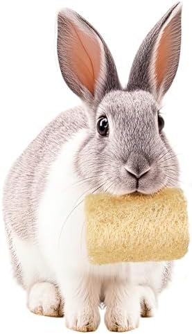 BESNEW Rabbit Chew Toys,100% Natural Loofah Without Additives,Bunny Chew Toys for Teeth,Fiber-Rich Rabbit Treats for Bunny Chinchilla Dogs