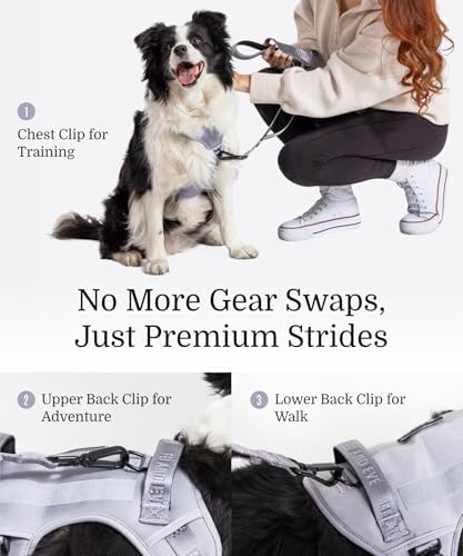 Fei & Eve Classic Dog Harness