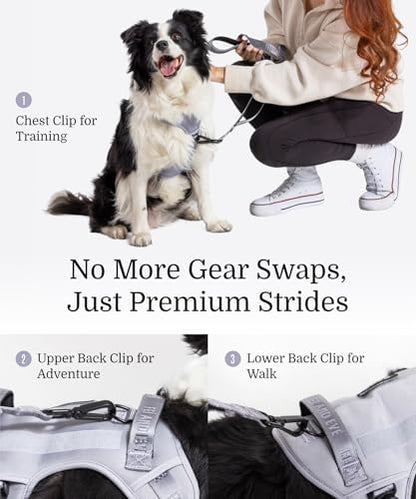 Fei & Eve Classic Dog Harness