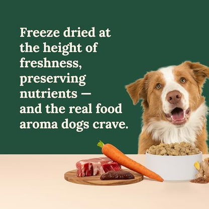360 Pet Nutrition Freeze-Dried Raw Dog Food – Beef Recipe with Liver & Organs, High Protein with Omega-3s, Fruits, Veggies & Superfoods, Grain-Free, No Fillers, 1 lb – Made in USA