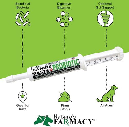 Dogzymes Canine Probiotic Paste Beneficial Bacteria-Enzyme 2.3 Billion CFU/gm Saccharomyces boulardii Organic Dried Honey Powder (60 Gram)