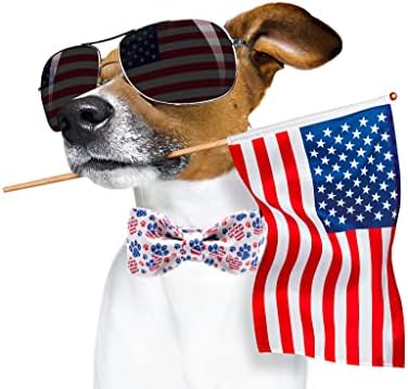 Lionheart Glory American Flag Dog Collar - 4th of July Collar with Adjustable Bow for Small Dogs