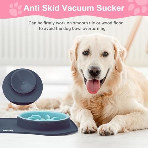 Slow Feeder Dog Bowls 3 in 1 Stainless Steel Food Water Bowl to Slow Eating