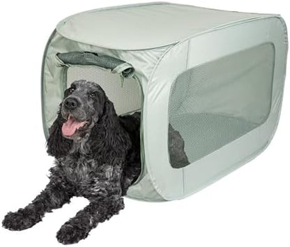 SportPet Designs Soft Sided Pop-Open Kennels, Light Green