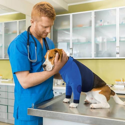 Lelepet Dog Recovery Suit for Front Legs, Dog Sleeve to Stop Licking Blue