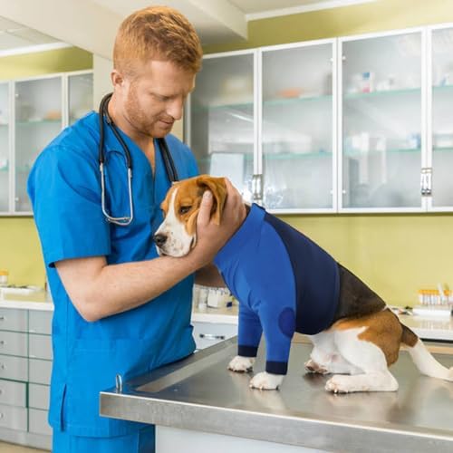 Lelepet Dog Recovery Suit for Front Legs, Dog Sleeve to Stop Licking Blue
