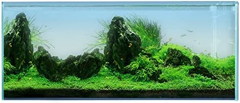 LANDEN Aquarium 120P 72 Gallon Ultra Clear Glass Rimless Fish Tank
