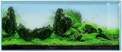 LANDEN Aquarium 120P 72 Gallon Ultra Clear Glass Rimless Fish Tank