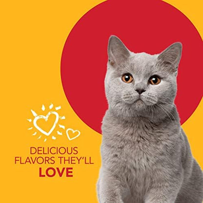 Petrodex Dental Care Kit for Cats, Cat Toothbrush and Toothpaste, Cleans Teeth and Fights Bad Breath, Reduces Plaque Tartar Formation, Malt Flavor, Toothpaste + Toothbrush 2.5 Ounce (Pack of 12)