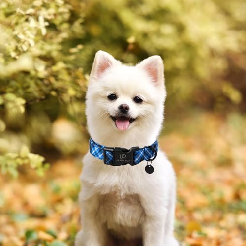 Dog Collar, Autumn Cotton Collar for Puppy Girl Dog or Cat, Holiday Blue Plaid Collar with Lightweight Plastic Buckle, Adorable Pet Collar